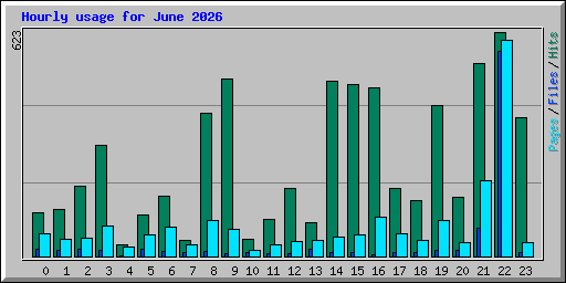 Hourly usage for June 2026